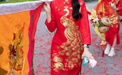 日本香港三级亚洲三级